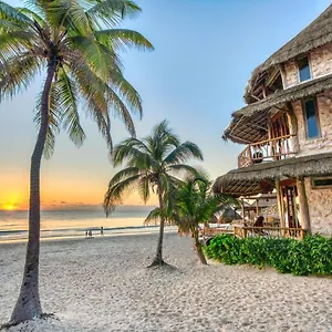 Alaya By Ahau Collection **** Tulum